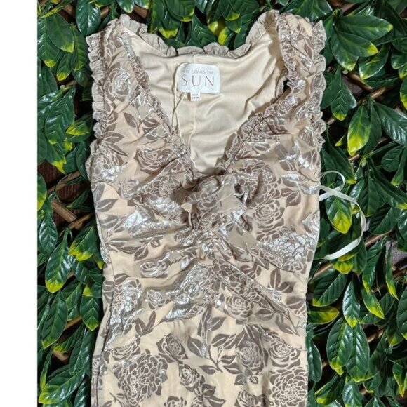 Stunning Here Comes the Sun Velvet Beige Midi Dress Size XS NWT - Picture 8 of 8